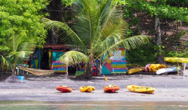 Tropikal beach, Martinique Adası, Fransa.