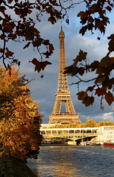 Piękny Widok Jesienne Drzewo Wieżą Eiffla Pierwszym Planie Paryżu Francja — Zdjęcie stockowe