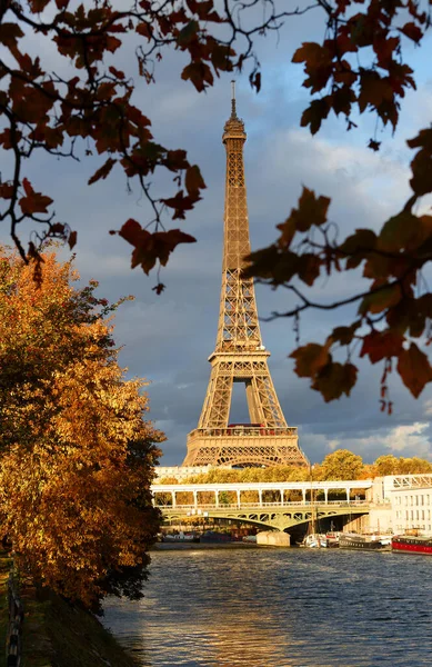 Prachtig Uitzicht Herfstboom Met Eiffeltoren Voorgrond Parijs Frankrijk Stockafbeelding