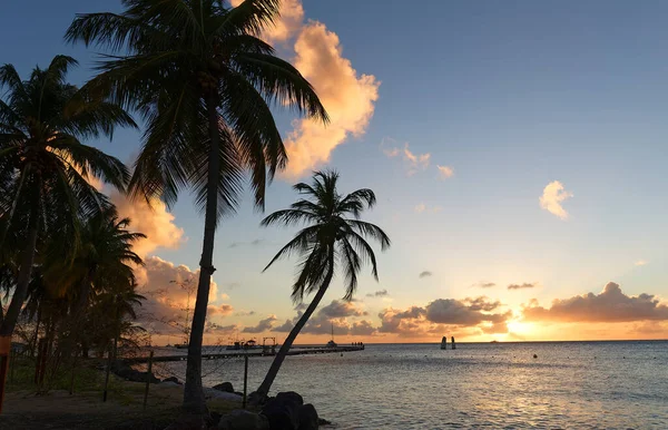 Bellissimo Tramonto Sull Isola Della Martinica Indie Occidentali Francesi — Foto Stock