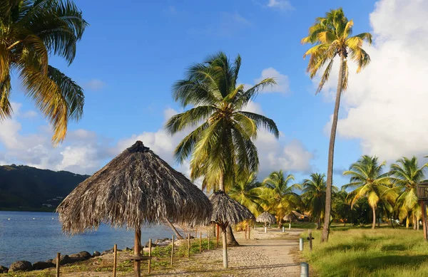Spiaggia Caraibica Isola Della Martinica Indie Occidentali Francesi — Foto Stock