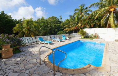 Plaj sandalyeleri veya havuz kenarındaki havuz kenarında hindistan cevizi ağaçları, Martinik adası, Fransız Batı Hint Adaları.