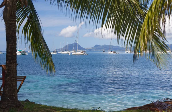 Praia Caribe Ilha Martinica Índias Ocidentais Francesas — Fotografia de Stock