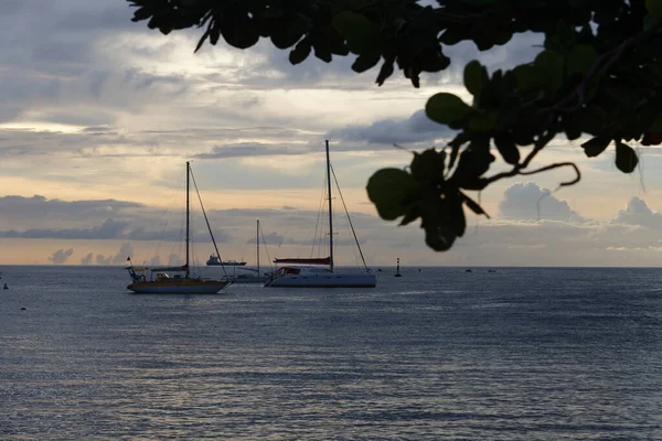 Catamarano Barche Vela Ancorate Acque Turchesi Limpide Della Spiaggia Caraibica — Foto Stock