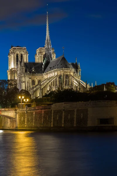 La cathédrale Notre Dame la nuit, Paris, France . — Photo