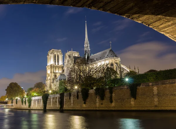 La catedral de Notre Dame por la noche . —  Fotos de Stock