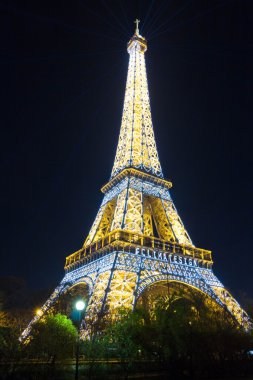 Eyfel Kulesi, gece, Paris, Fransa.