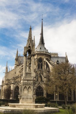 notre dame Katedrali, paris.