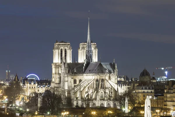 La cattedrale cattolica Notre Dame, Parigi, Francia . — Foto Stock