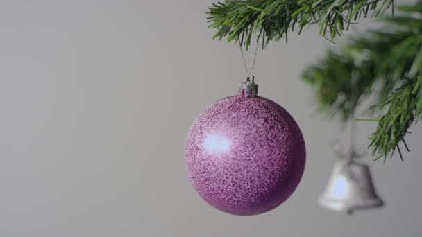 Bola de Natal roxo e sino de prata no ramo da árvore de Natal — Vídeo de Stock