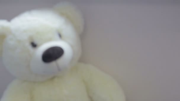 Urso de brinquedo do departamento de pediatria — Vídeo de Stock