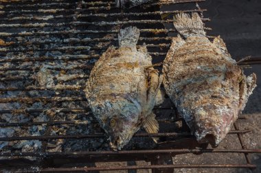 Izgara balık Tuz kabuklu