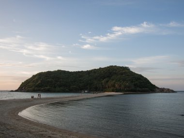 Mae Haad Plajı'nda ayrı deniz