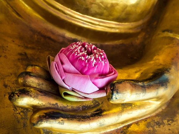 Lótus na mão do Buda — Fotografia de Stock