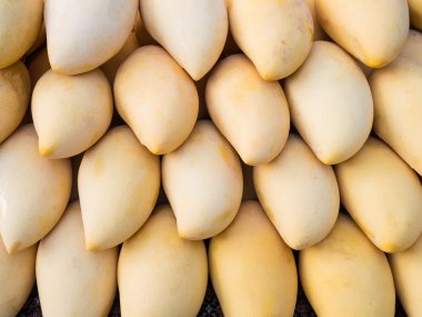 Altın Mango, tatlı Mango