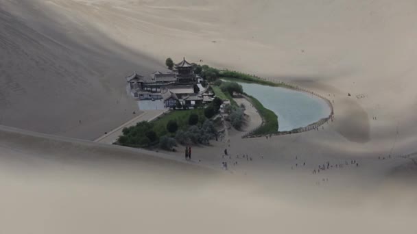 Oasis in Takla Makhan desert — Stock Video