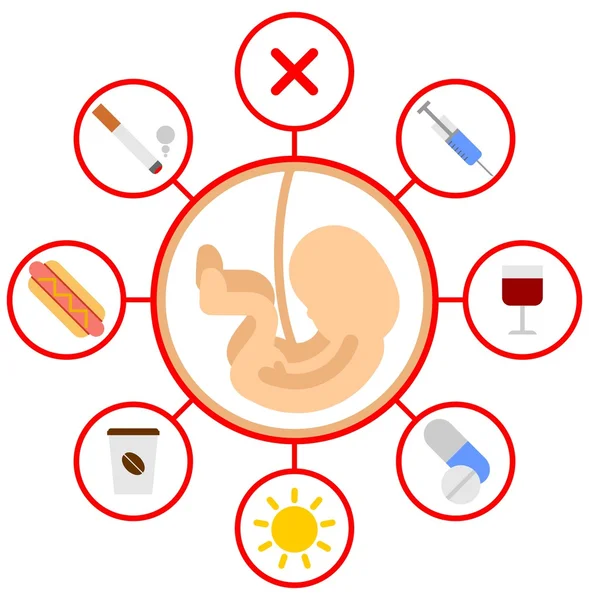 Těhotenské embryo zakázané produkty — Stockový vektor