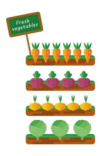 Łóżka z warzywami — Wektor stockowy
