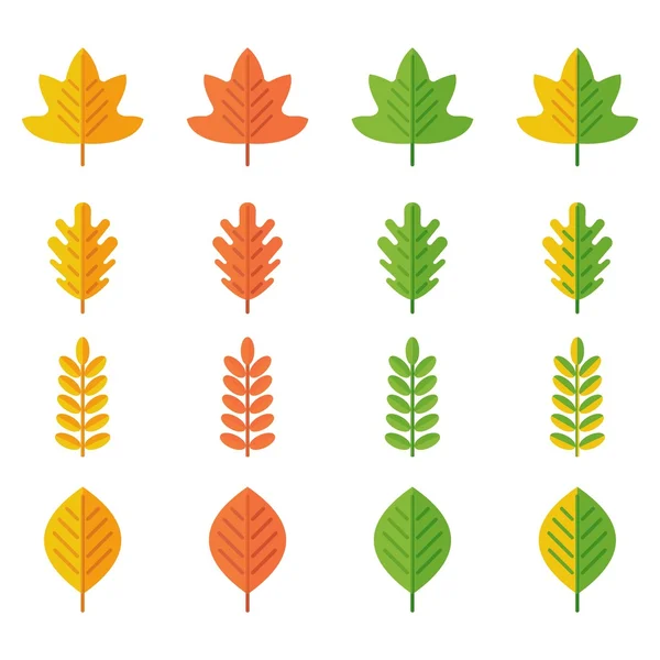 Ensemble de feuilles d'automne — Image vectorielle