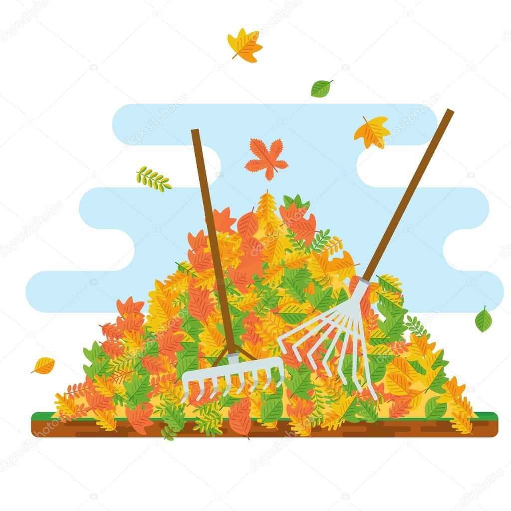 rake collecting fallen leaves