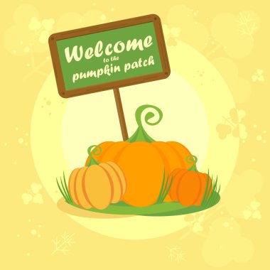 kabak yama hoş geldiniz