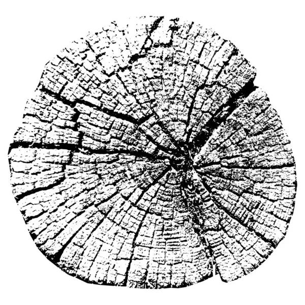 Baumwachstumsringe. Natürlich geschnittenes Holz. Vektorillustration. — Stockvektor