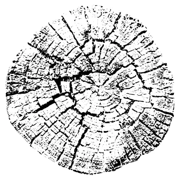 Anillos de crecimiento de árboles. Madera cortada natural. Ilustración vectorial. — Archivo Imágenes Vectoriales