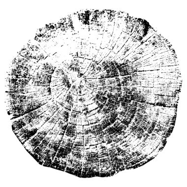 Ağaç büyütme halkaları. Doğal kesim odun. Vektör illüstrasyonu.