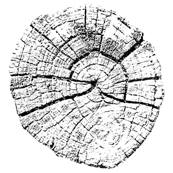 Anéis de crescimento de árvores. Madeira natural cortada. Ilustração vetorial. — Vetor de Stock