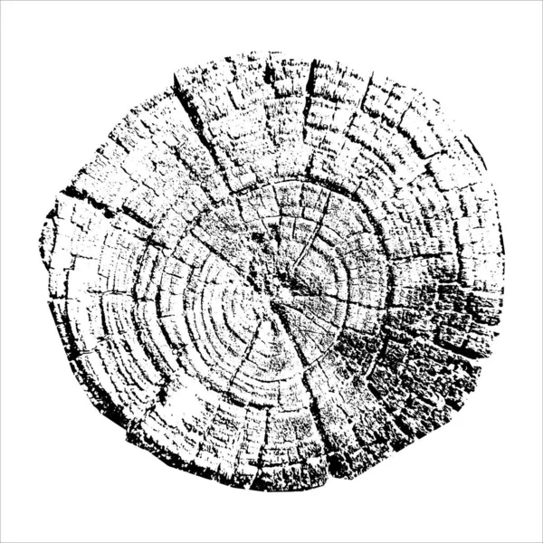 Anéis de crescimento de árvores. Madeira natural cortada. Ilustração vetorial. — Vetor de Stock