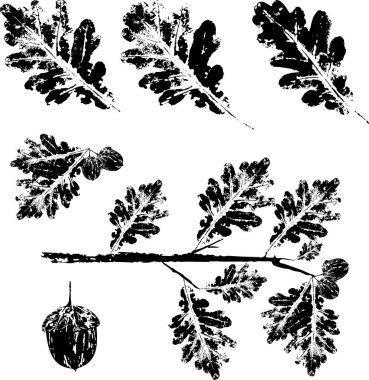 Düşen bir sonbahar yaprağının renkli mürekkep izi. Suluboya yaprağı.