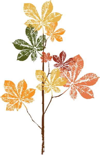 Impression à l'encre colorée d'une feuille d'automne tombée. Feuille aquarelle. — Image vectorielle