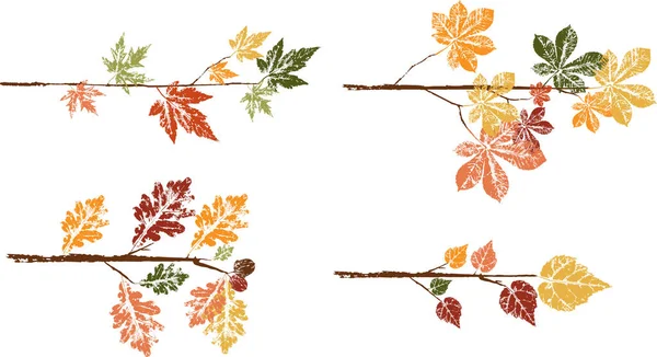 Impression à l'encre colorée d'une feuille d'automne tombée. Feuille aquarelle. — Image vectorielle