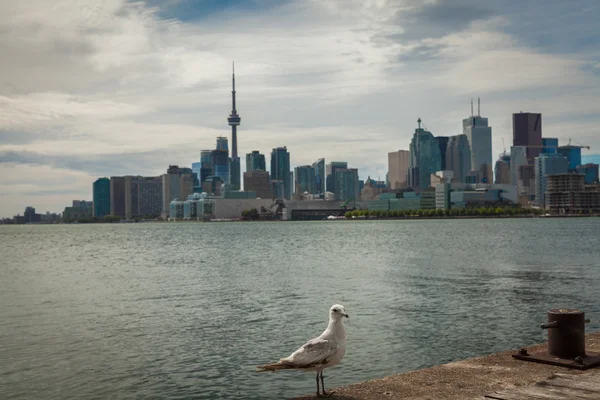 Cityscape of Toronto in Canada — Stock Photo, Image