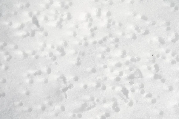 Structure of white frozen snow in winter — Stock Photo, Image