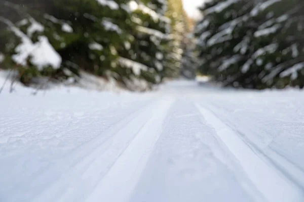 Huellas en la nieve para el esquí de fondo —  Fotos de Stock