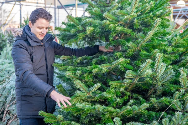 Young man buying christmas tree on the market — Stock Photo, Image