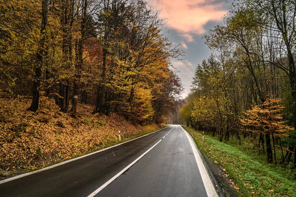 Droga dla samochodów w jesiennym lesie — Zdjęcie stockowe