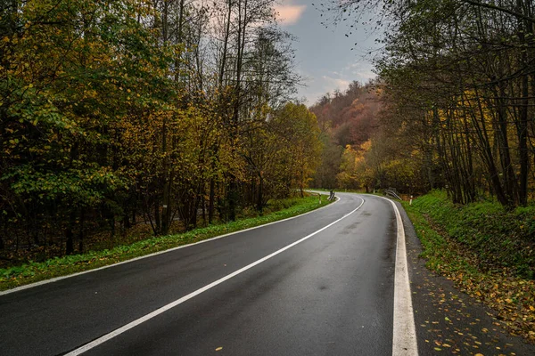 Droga asfaltowa w przyrodzie, pomarańczowy las jesienny — Zdjęcie stockowe