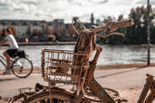 Bicicleta oxidada sacada de un río en un parque de la ciudad — Foto de Stock