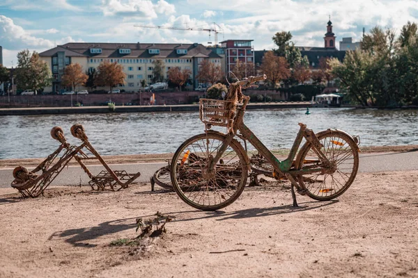 Bicicleta oxidada y carrito de compras sacados del río en el parque de la ciudad — Foto de Stock