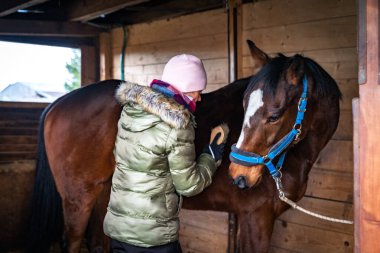 Ahırdaki fırçaların yardımıyla atları temizliyorum.
