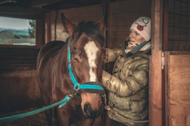 Ahırda at bakımı. Saçlarını taramak için fırçalamak gibi.