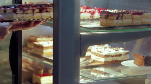 Inserindo a sobremesa na vitrine na confeitaria — Vídeo de Stock