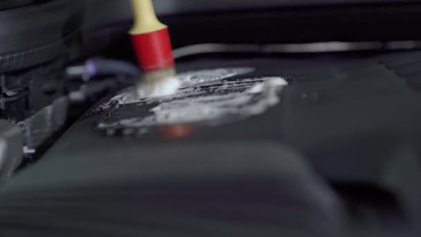 Czyszczenie silnika samochodowego za pomocą spryskiwaczy i szczotek — Wideo stockowe