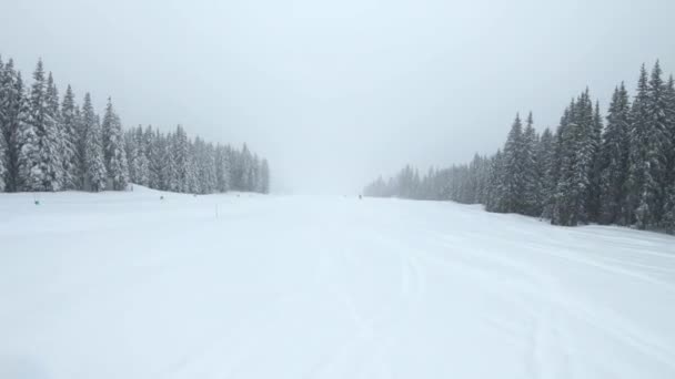 Катание на лыжах в горах во время снега — стоковое видео