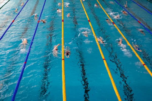 Wedstrijdzwemmen in het zwembad tijdens de training — Stockfoto