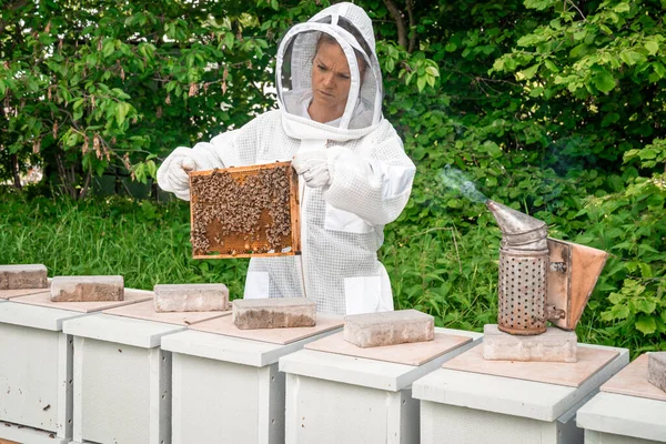Kvinna med en vaxram med bin i biodling — Stockfoto