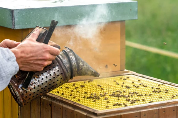 smoked bee hive when handling bees, wax and honey