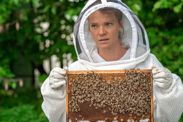 Mujer con un marco de cera con abejas en apicultura — Foto de Stock